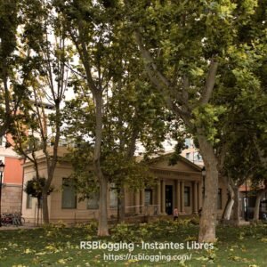 Fachada de las antiguas Escuelas Trevijano de Logroño entre árboles en día de viento
