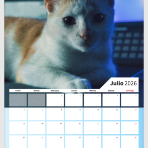 Calendario Personalizado Exclusivo
