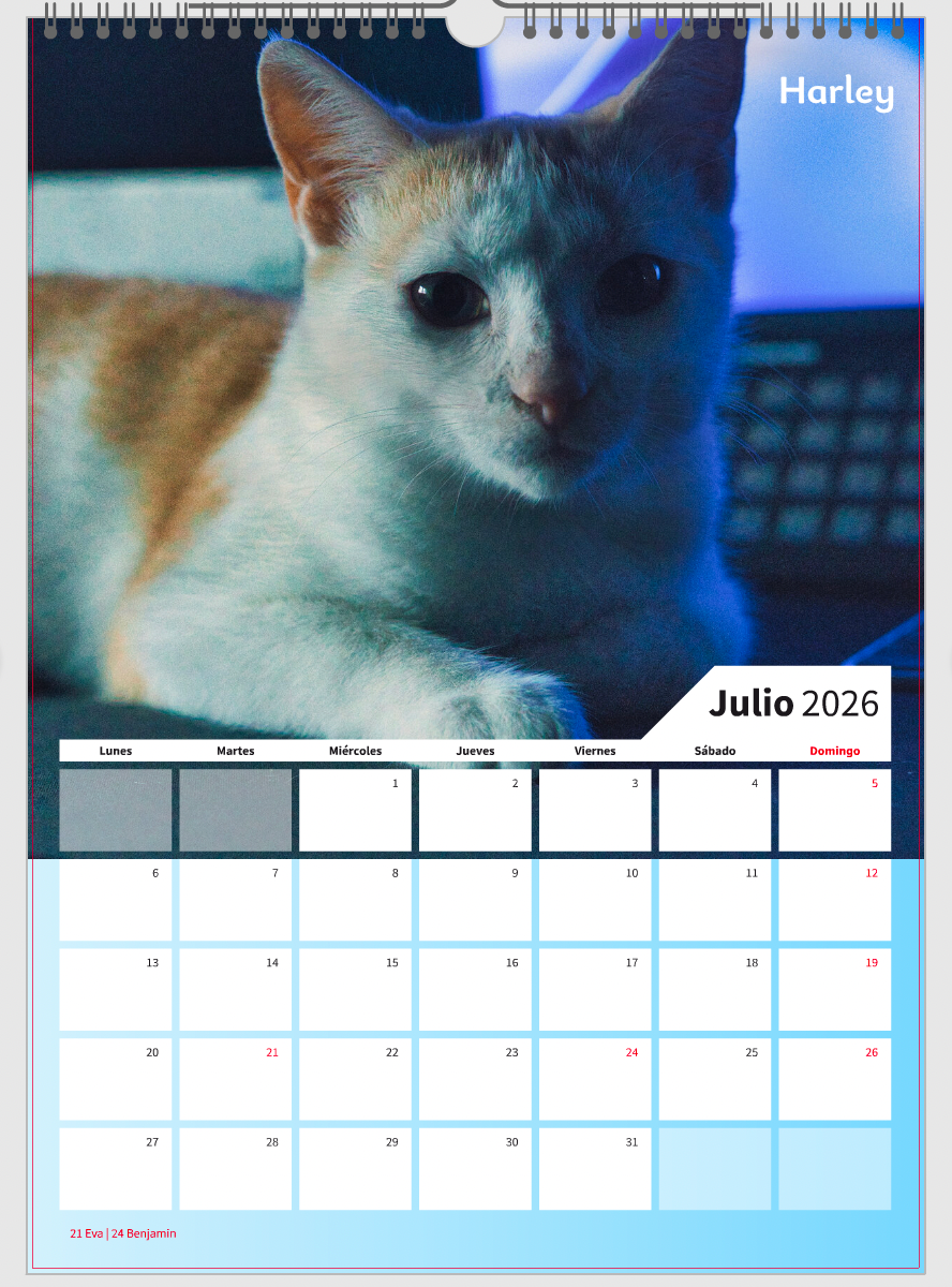 Calendario Personalizado Exclusivo